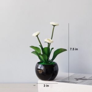 DAISY POTTED PLANT - BLACK