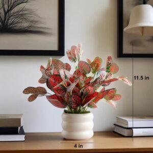 EVERGREEN POTTED PLANT